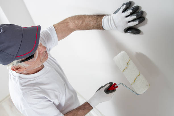 Best Basement Mold Removal  in The Dalles, OR