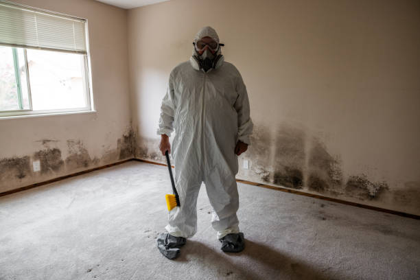 Best Mold Damage Restoration  in The Dalles, OR
